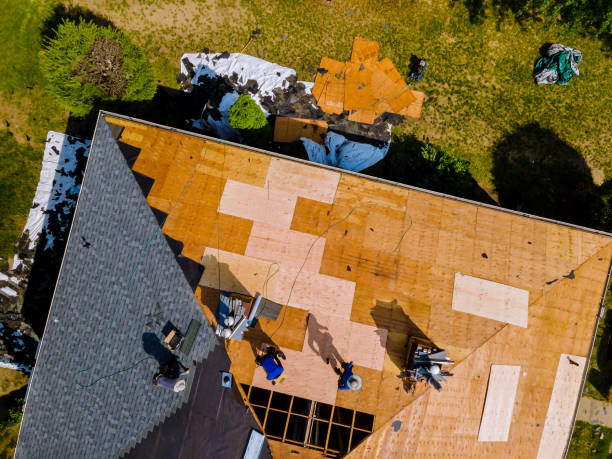 Best Roof Repair Services  in Sauk Centre, MN