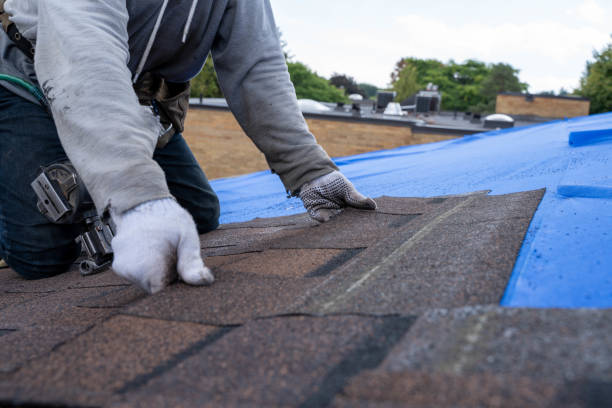 Roof Gutter Cleaning in Sauk Centre, MN